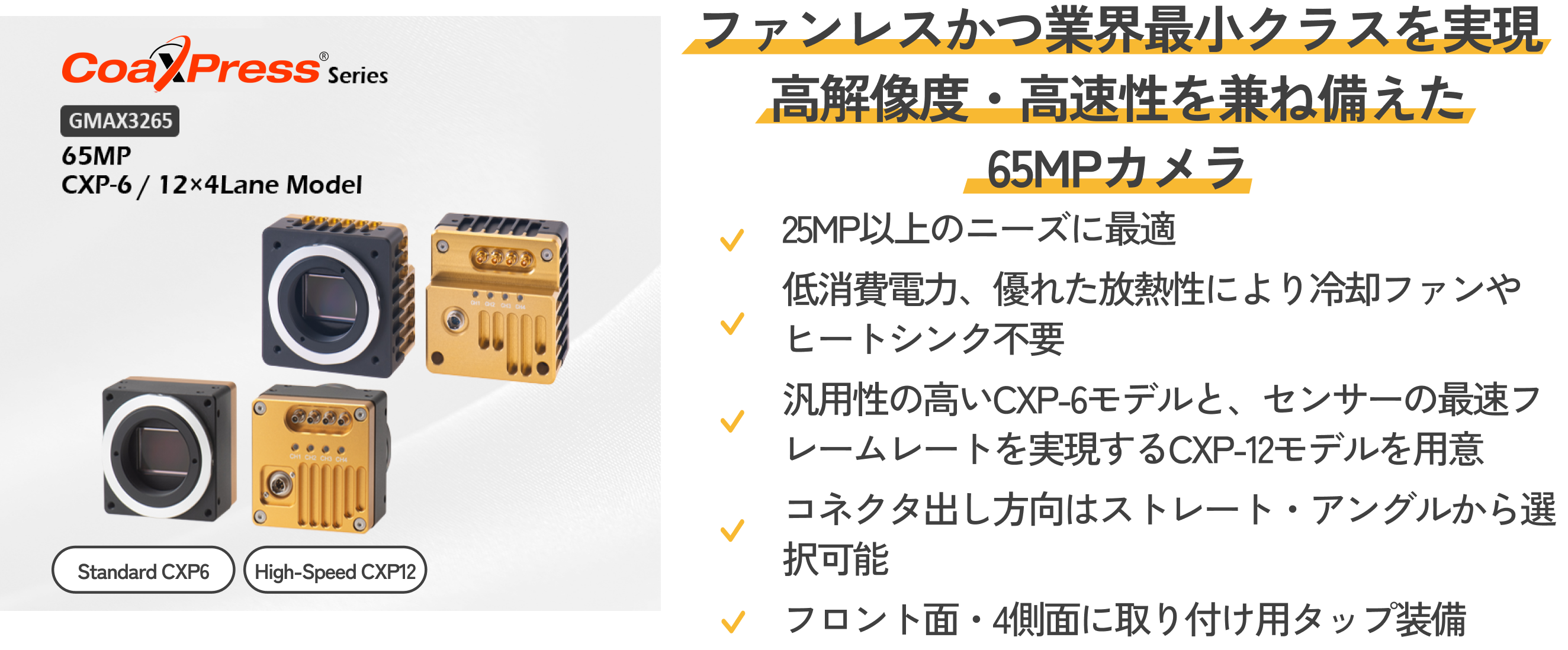 line-scan-camera_10 (2).png